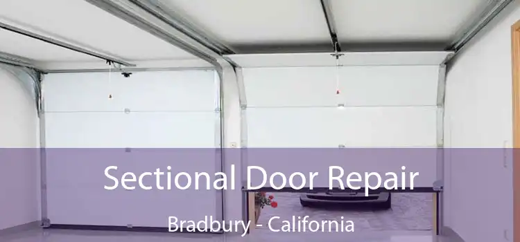 Sectional Door Repair Bradbury - California