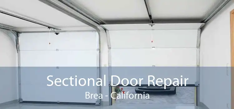Sectional Door Repair Brea - California