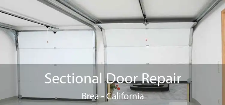 Sectional Door Repair Brea - California