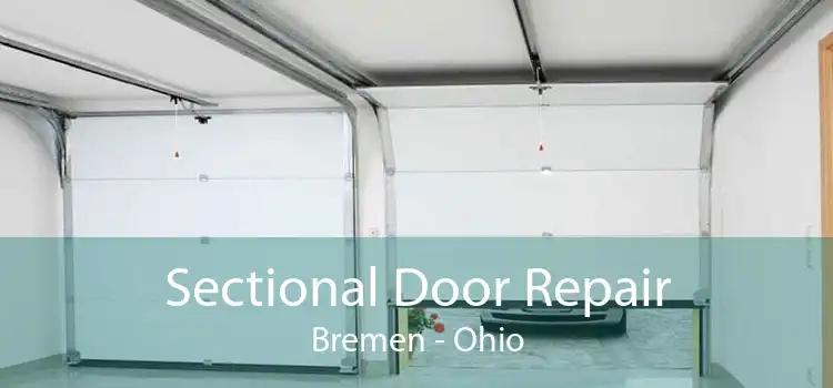Sectional Door Repair Bremen - Ohio