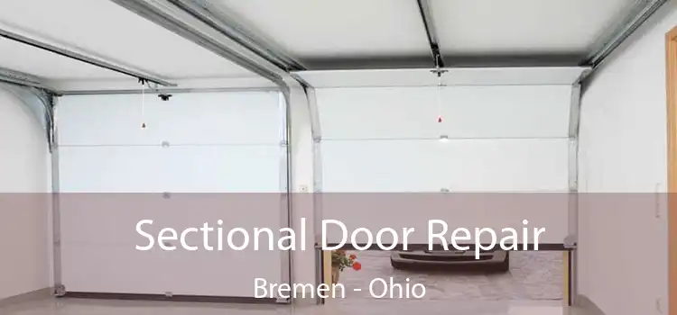 Sectional Door Repair Bremen - Ohio