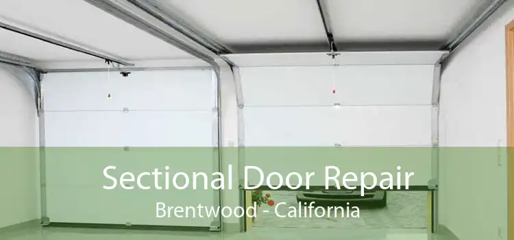 Sectional Door Repair Brentwood - California