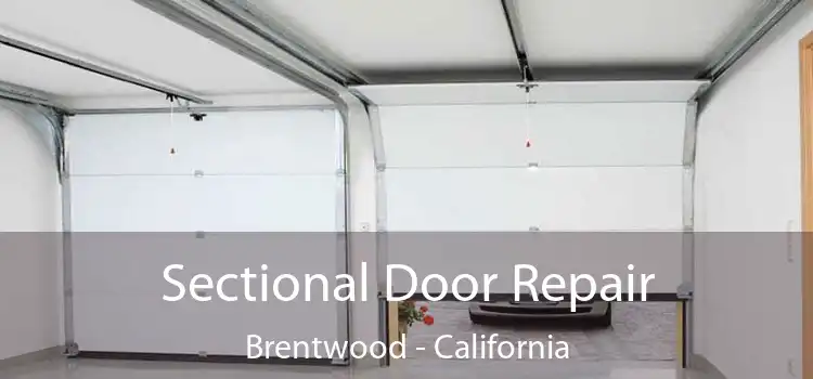 Sectional Door Repair Brentwood - California