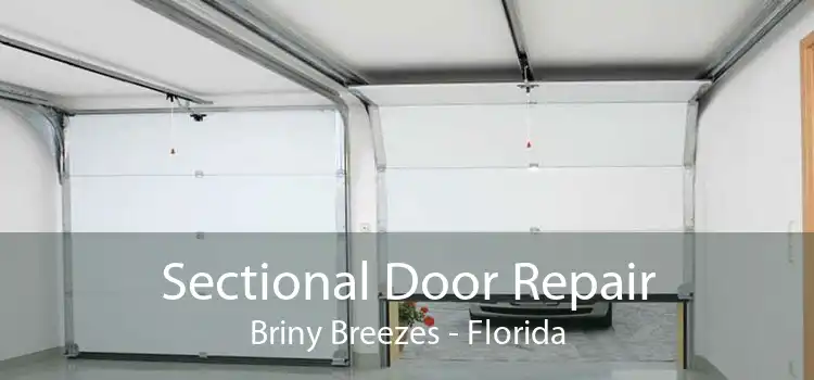 Sectional Door Repair Briny Breezes - Florida