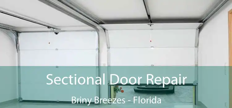 Sectional Door Repair Briny Breezes - Florida