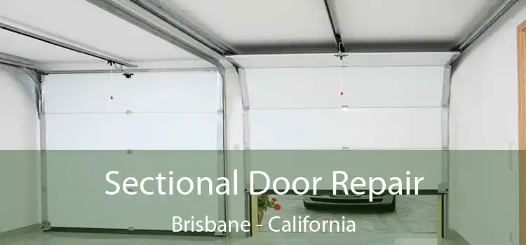 Sectional Door Repair Brisbane - California