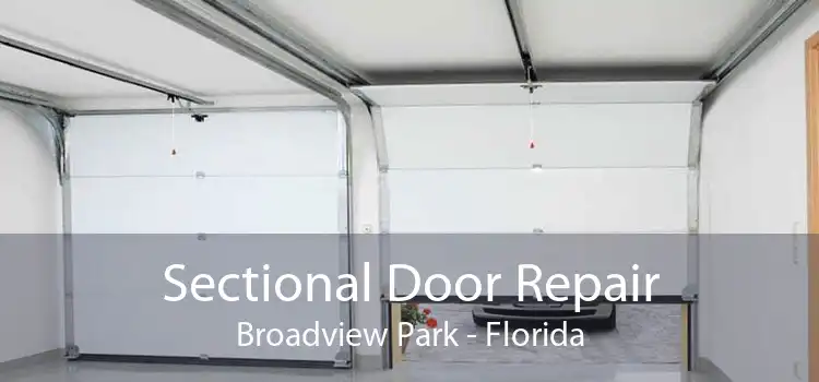 Sectional Door Repair Broadview Park - Florida