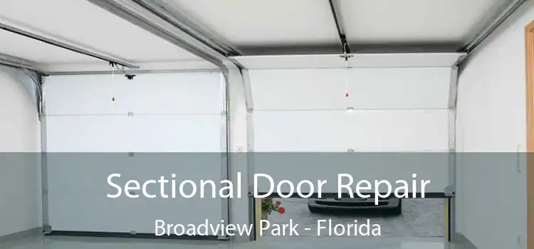 Sectional Door Repair Broadview Park - Florida