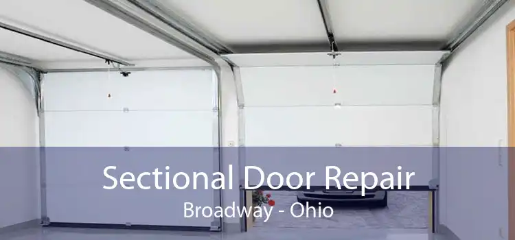 Sectional Door Repair Broadway - Ohio