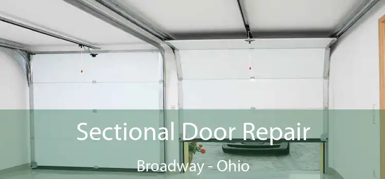 Sectional Door Repair Broadway - Ohio