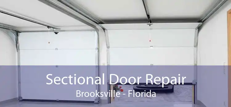 Sectional Door Repair Brooksville - Florida