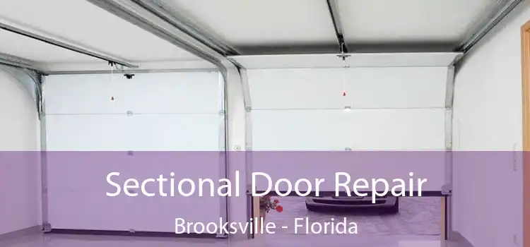 Sectional Door Repair Brooksville - Florida