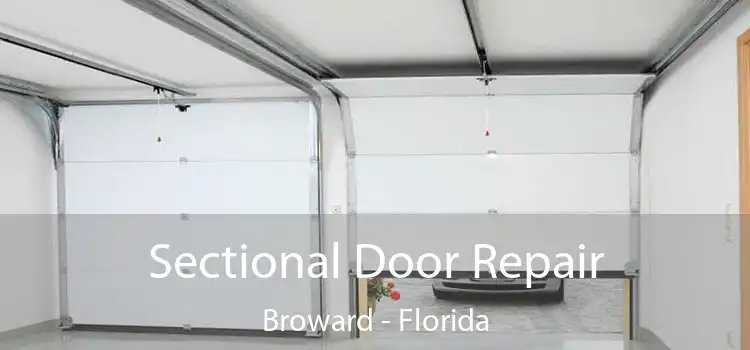 Sectional Door Repair Broward - Florida