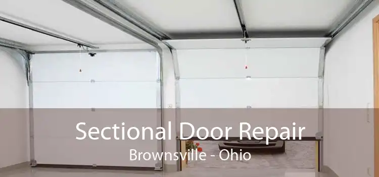Sectional Door Repair Brownsville - Ohio