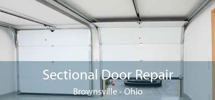 Sectional Door Repair Brownsville - Ohio