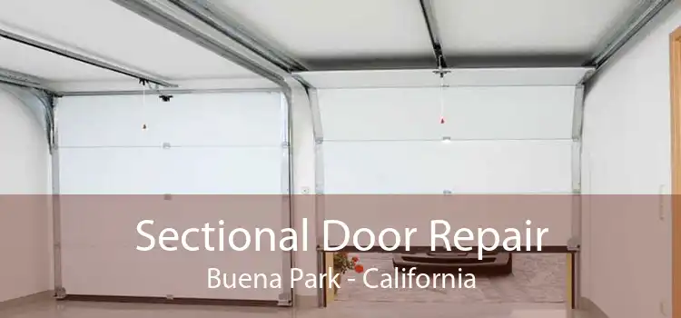 Sectional Door Repair Buena Park - California