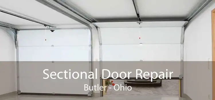 Sectional Door Repair Butler - Ohio
