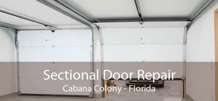 Sectional Door Repair Cabana Colony - Florida