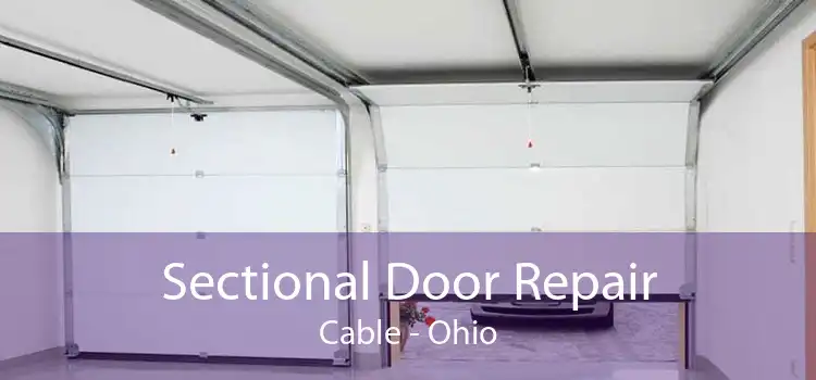 Sectional Door Repair Cable - Ohio