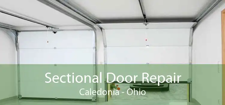 Sectional Door Repair Caledonia - Ohio