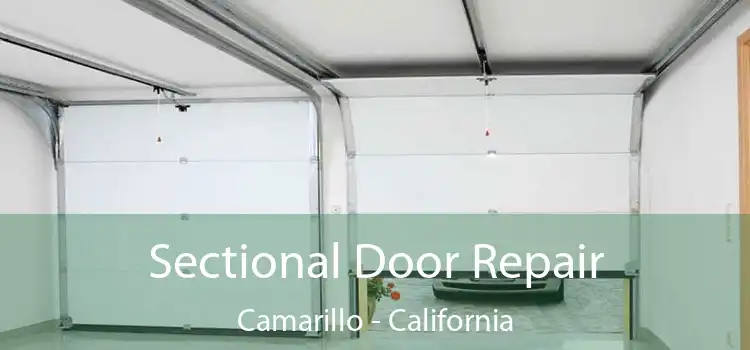 Sectional Door Repair Camarillo - California