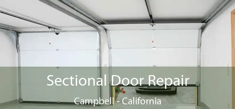 Sectional Door Repair Campbell - California