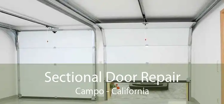 Sectional Door Repair Campo - California