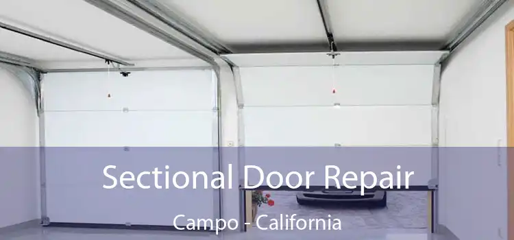 Sectional Door Repair Campo - California