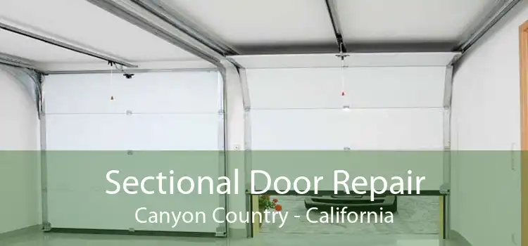 Sectional Door Repair Canyon Country - California