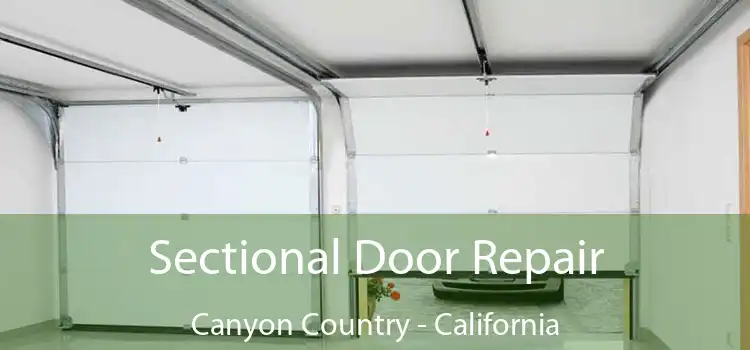 Sectional Door Repair Canyon Country - California