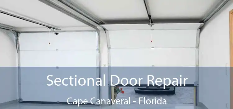 Sectional Door Repair Cape Canaveral - Florida