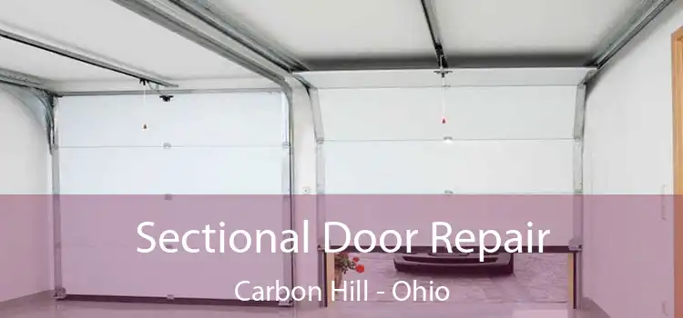 Sectional Door Repair Carbon Hill - Ohio