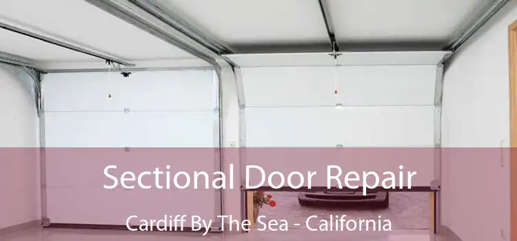 Sectional Door Repair Cardiff By The Sea - California