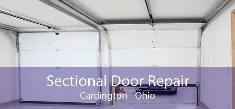 Sectional Door Repair Cardington - Ohio