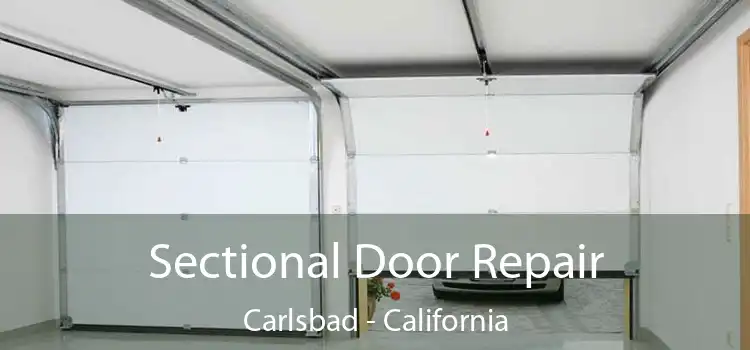 Sectional Door Repair Carlsbad - California