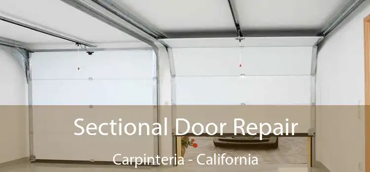 Sectional Door Repair Carpinteria - California