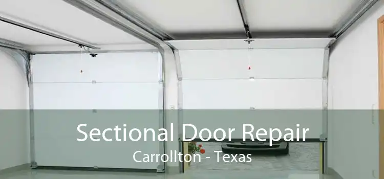 Sectional Door Repair Carrollton - Texas