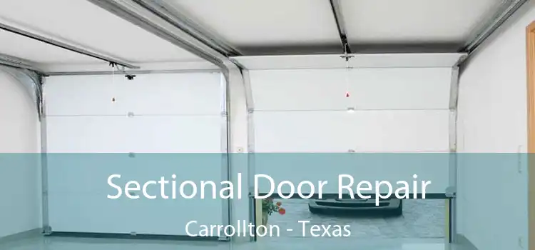 Sectional Door Repair Carrollton - Texas