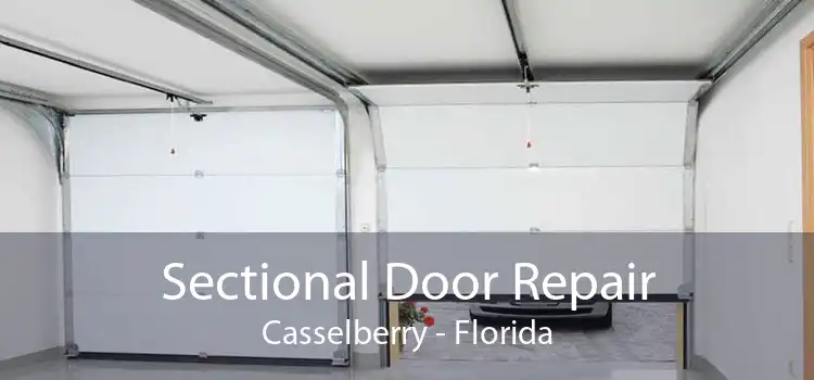 Sectional Door Repair Casselberry - Florida