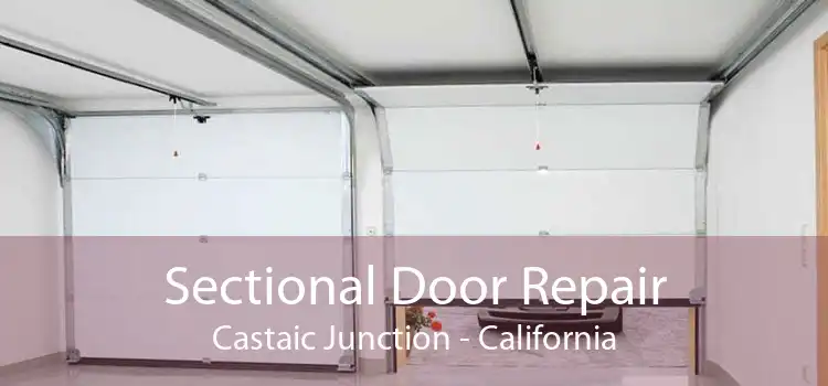 Sectional Door Repair Castaic Junction - California