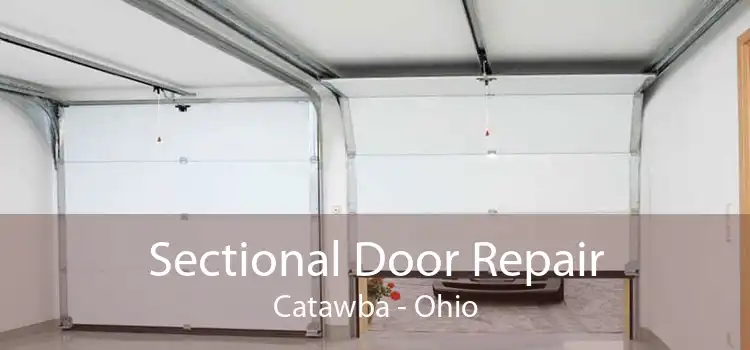 Sectional Door Repair Catawba - Ohio