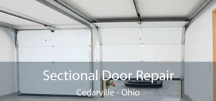 Sectional Door Repair Cedarville - Ohio