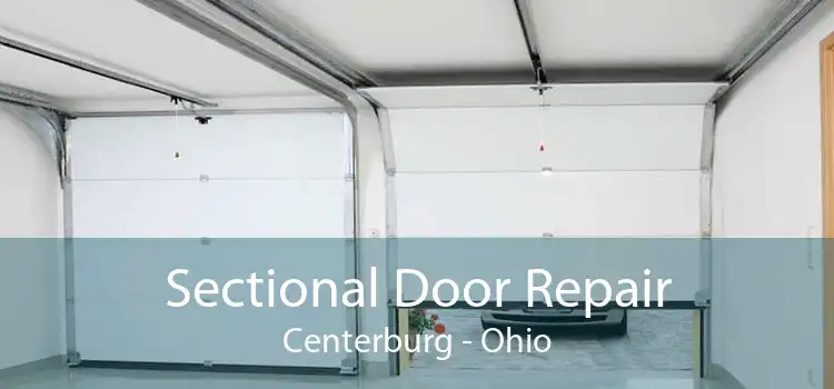 Sectional Door Repair Centerburg - Ohio