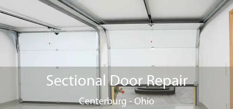 Sectional Door Repair Centerburg - Ohio