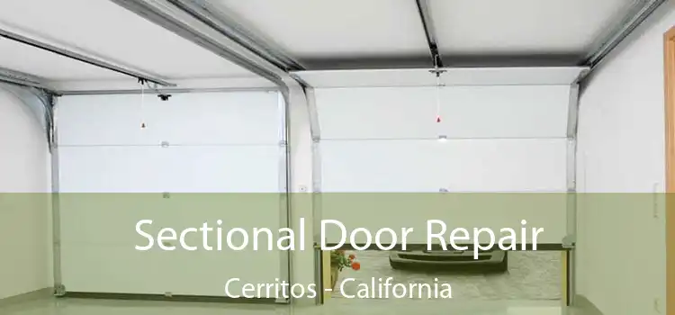 Sectional Door Repair Cerritos - California