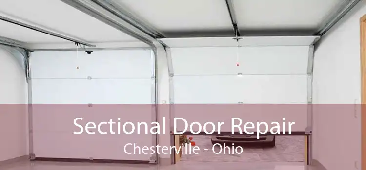 Sectional Door Repair Chesterville - Ohio