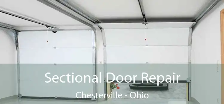 Sectional Door Repair Chesterville - Ohio