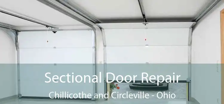 Sectional Door Repair Chillicothe and Circleville - Ohio
