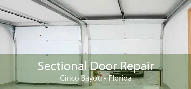 Sectional Door Repair Cinco Bayou - Florida