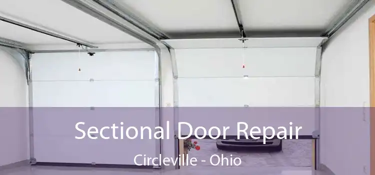 Sectional Door Repair Circleville - Ohio